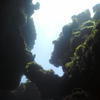 Picture taken during the dive