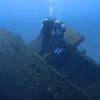 Picture taken during the dive