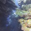 Picture taken during the dive