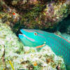 Picture taken during the dive