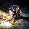 Picture taken during the dive