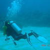 Picture taken during the dive