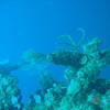 Picture taken during the dive