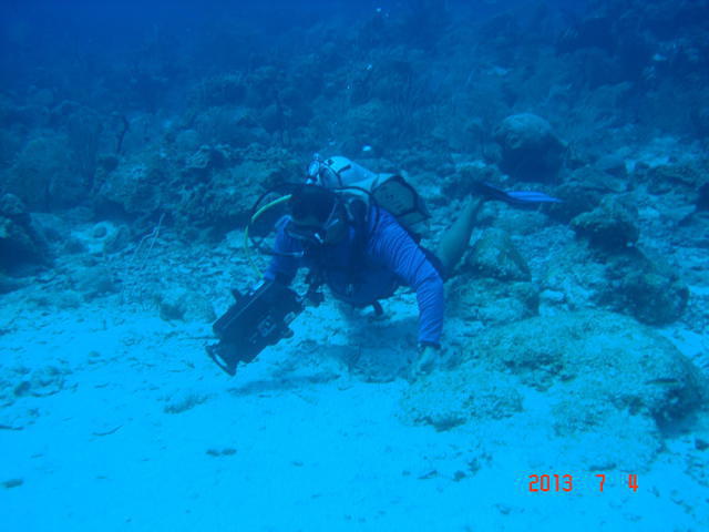 Waihuka Adventure Divers - Dive Center in Honduras