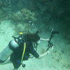 Picture taken during the dive