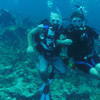 Picture taken during the dive