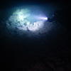 Picture taken during the dive