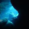 Picture taken during the dive