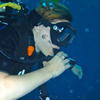 Picture taken during the dive