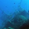 Picture taken during the dive
