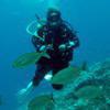 Picture taken during the dive