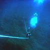 Picture taken during the dive