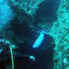 Picture taken during the dive