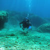Picture taken during the dive