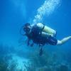 Picture taken during the dive