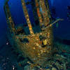 Picture taken during the dive