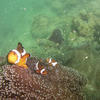 Picture taken during the dive