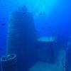 Picture taken during the dive
