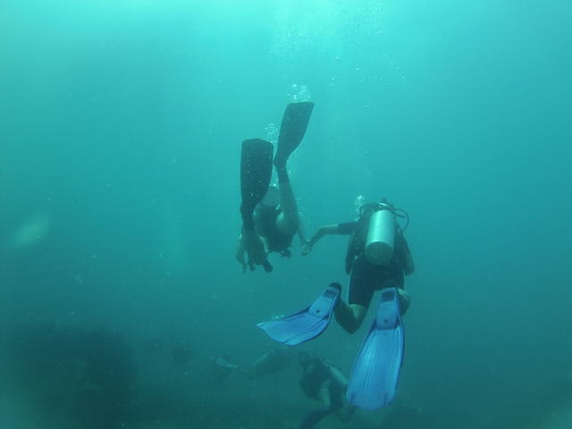 IHASIA DIVING KOH TAO - Dive Center in Tailandia