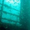 Picture taken during the dive