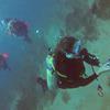 Picture taken during the dive