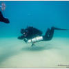 Picture taken during the dive