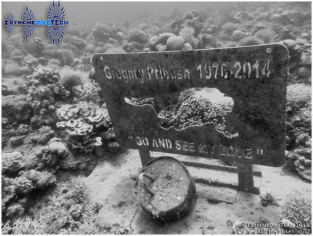 Barracuda - Dive Center in Israel