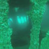 Picture taken during the dive