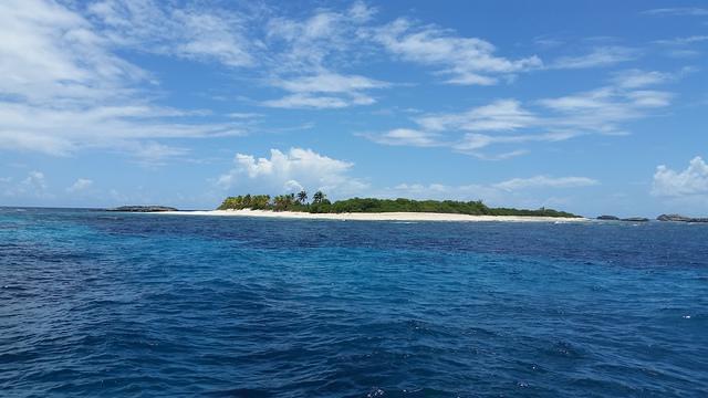 Sea Ventures Dive Center - Dive Center in Puerto Rico