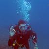 Picture taken during the dive