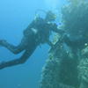 Picture taken during the dive