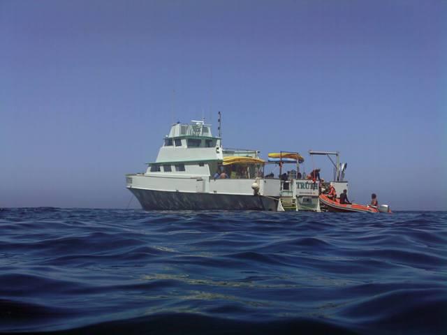 Truth Aquatics - Dive Center in United States