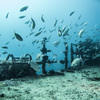 Picture taken during the dive