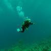Picture taken during the dive