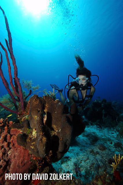 Diving in The Bight Settlements, Turks and Caicos Islands - By Christy Blüm