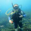 Picture taken during the dive