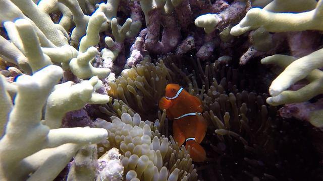 Tusa Dive - Dive Center in Australia