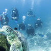 Picture taken during the dive