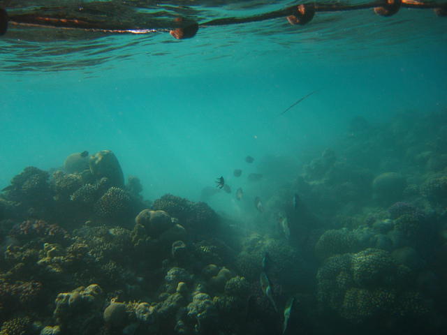 Blue Water Dive Resort - Dive Center