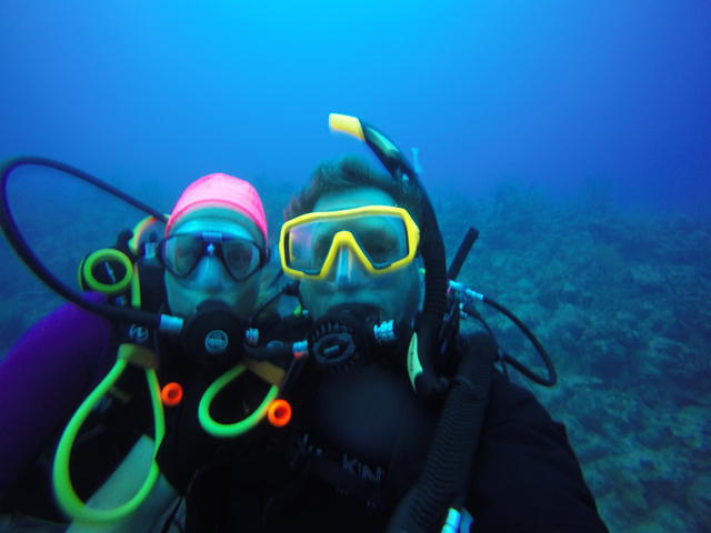 Dive Provo - Dive Center in Turks and Caicos Islands