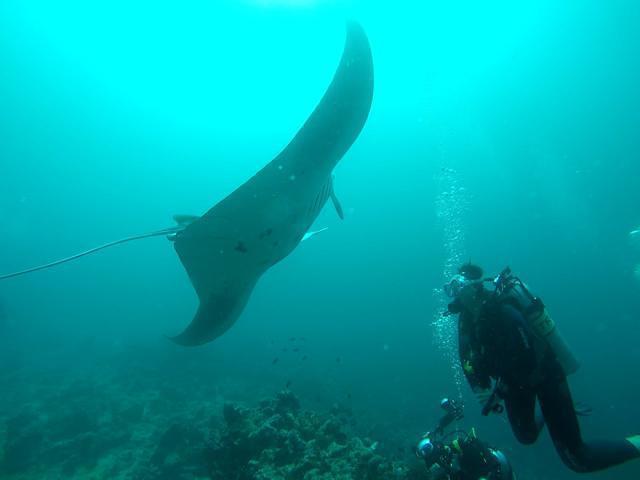 Euro-Divers Club Med Kani Resort - Dive Center