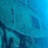 Picture taken during the dive