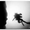 Picture taken during the dive