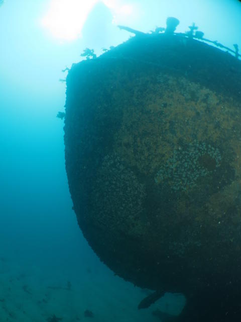 Paihia Dive - Dive Center in New Zealand