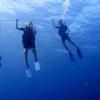Picture taken during the dive