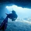 Picture taken during the dive