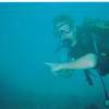 Picture taken during the dive