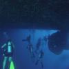 Picture taken during the dive