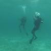 Picture taken during the dive