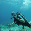 Picture taken during the dive